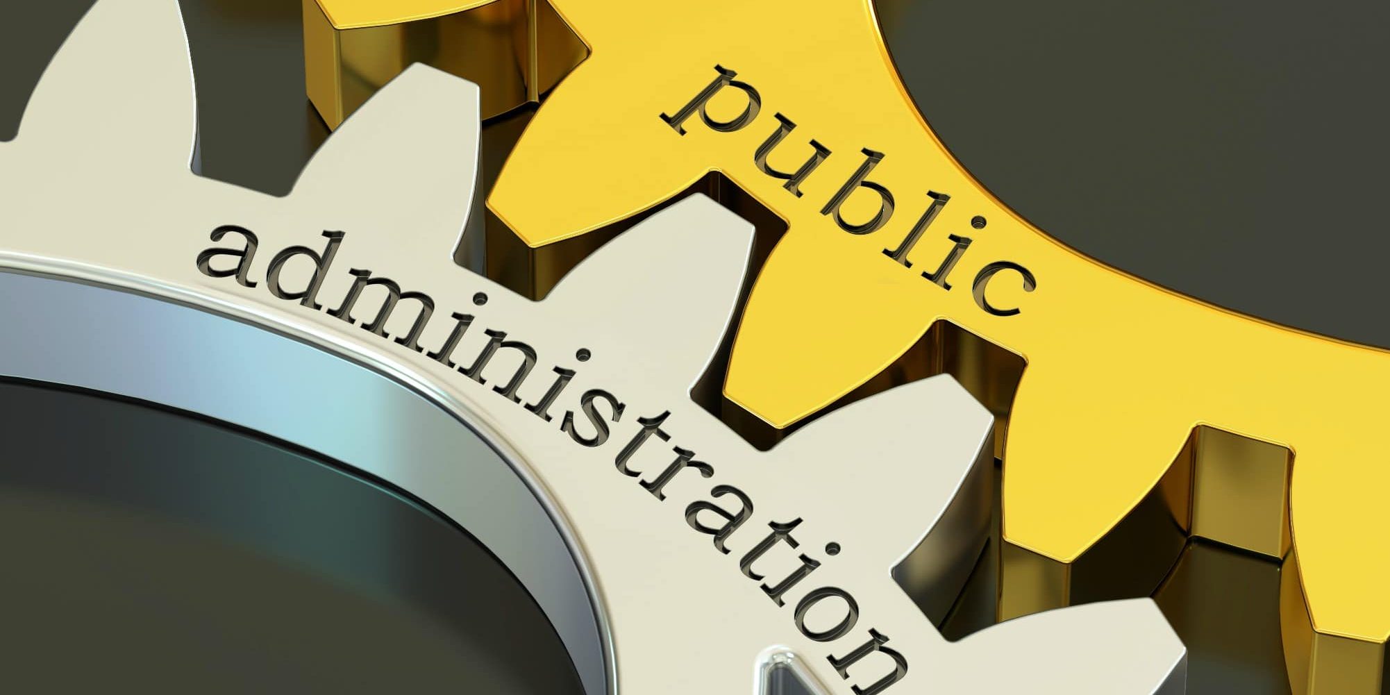 public administration concept on the gearwheels, 3D rendering
